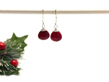 Load image into Gallery viewer, Ruby Deluxe Gemstone Drop Earrings