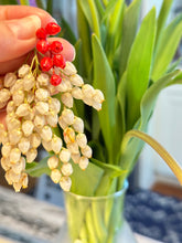 Load image into Gallery viewer, Pearl-Kissed Golden Pieris Pendant
