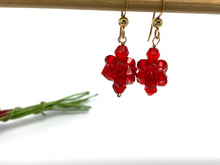 Load image into Gallery viewer, Rock Candy 14kt Gold Filled Drop Earrings