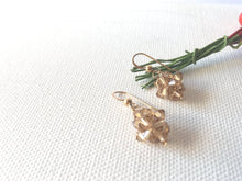 Load image into Gallery viewer, Rock Candy 14kt Gold Filled Drop Earrings