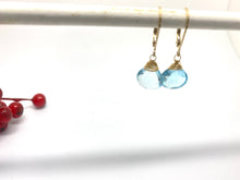 Load image into Gallery viewer, leverback earrings