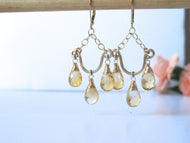 Chandelier Gemstone Earrings