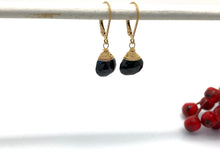 Load image into Gallery viewer, Black Spinel Leverback Gold Earrings
